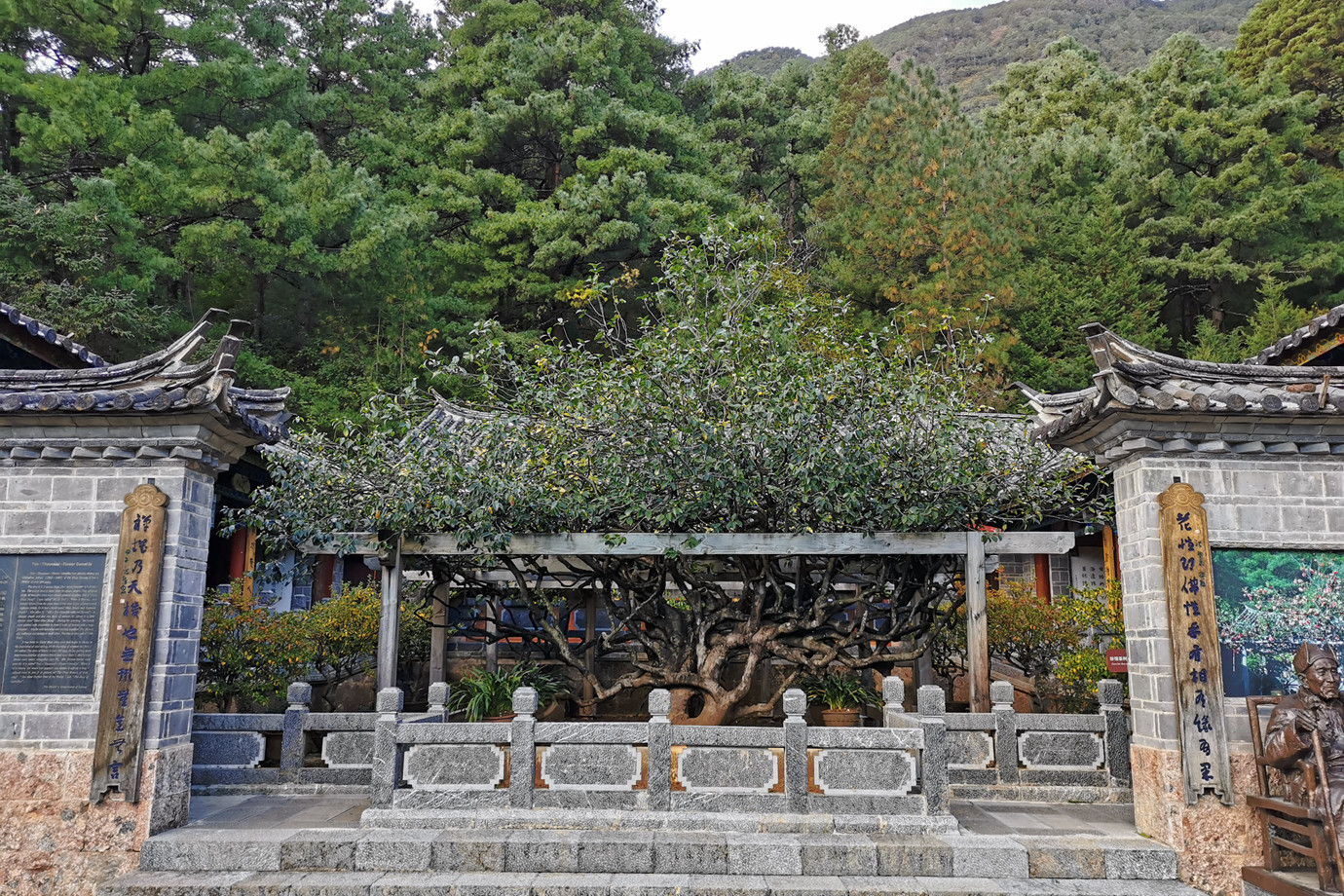 雲南麗江-玉峰寺